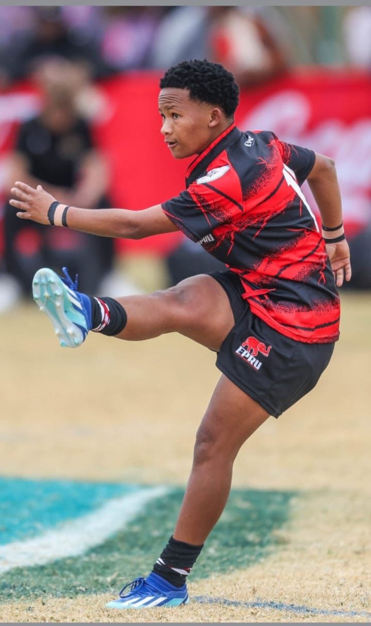 Nadelean Leeuwskieter