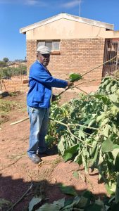 Community, former learners unite to restore Mzingisi Primary