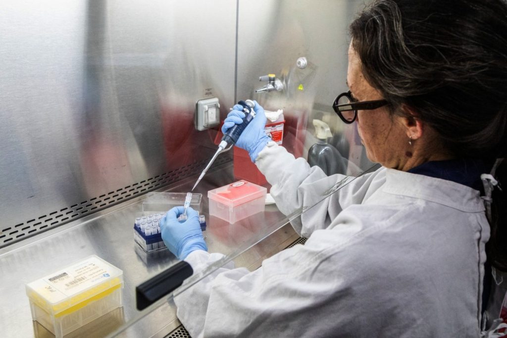 This handout picture released by Argentina's Health Ministry shows a scientist from the Malbran Institute handling containers used to diagnose the Andes hantavirus, which contain RNA from the Andes virus as part of the detection process, in Buenos Aires. Photo: AFP/Argentina's Health Ministry