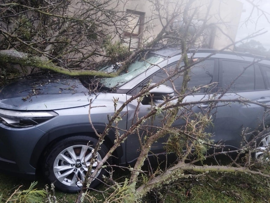Kouga Local Municipality is currently experiencing widespread heavy rainfall.