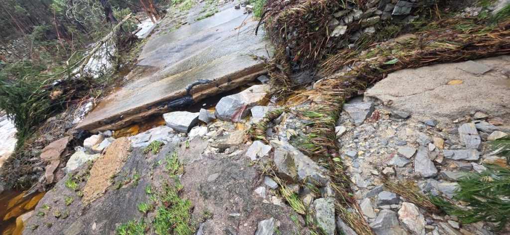 Tsitsikamma Wolf Sanctuary is recovering after severe May flooding caused R75,000 in road damage and weeks of disruption to its operations.