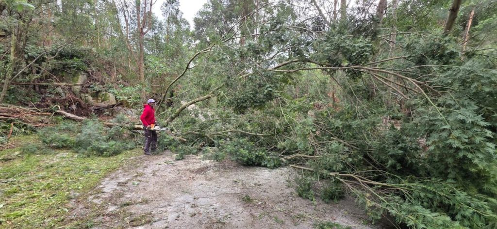 Tsitsikamma Wolf Sanctuary is recovering after severe May flooding caused R75,000 in road damage and weeks of disruption to its operations.