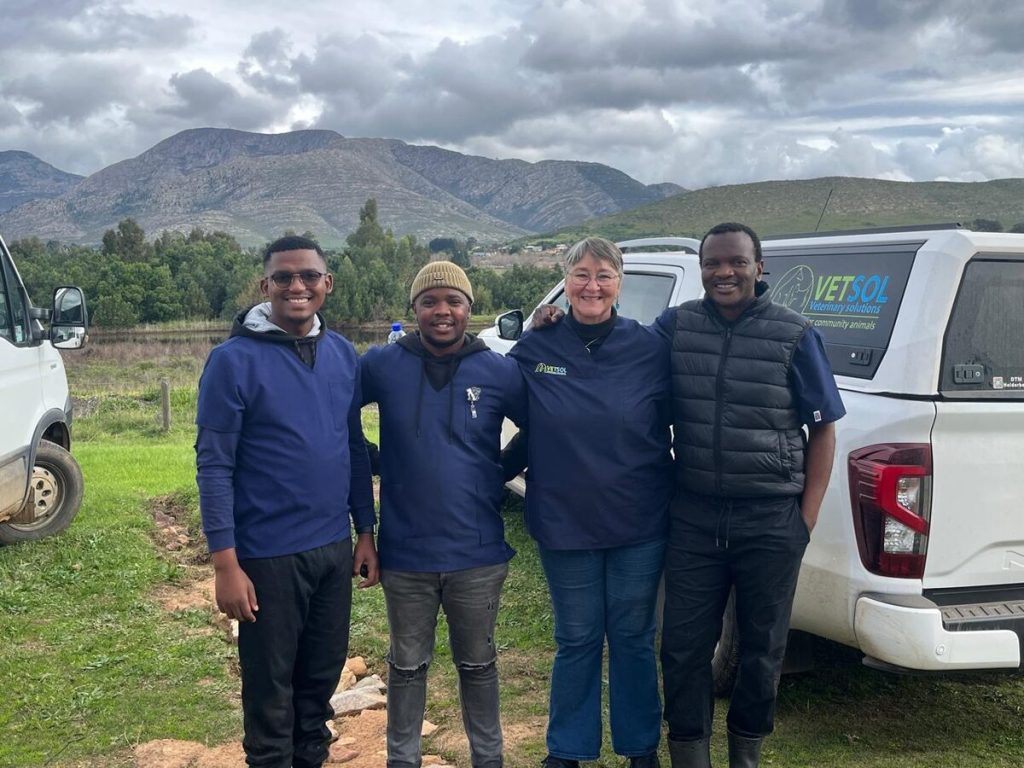 ARK Animal Rescue volunteers care for dogs and cats during the Langkloof sterilisation campaign.