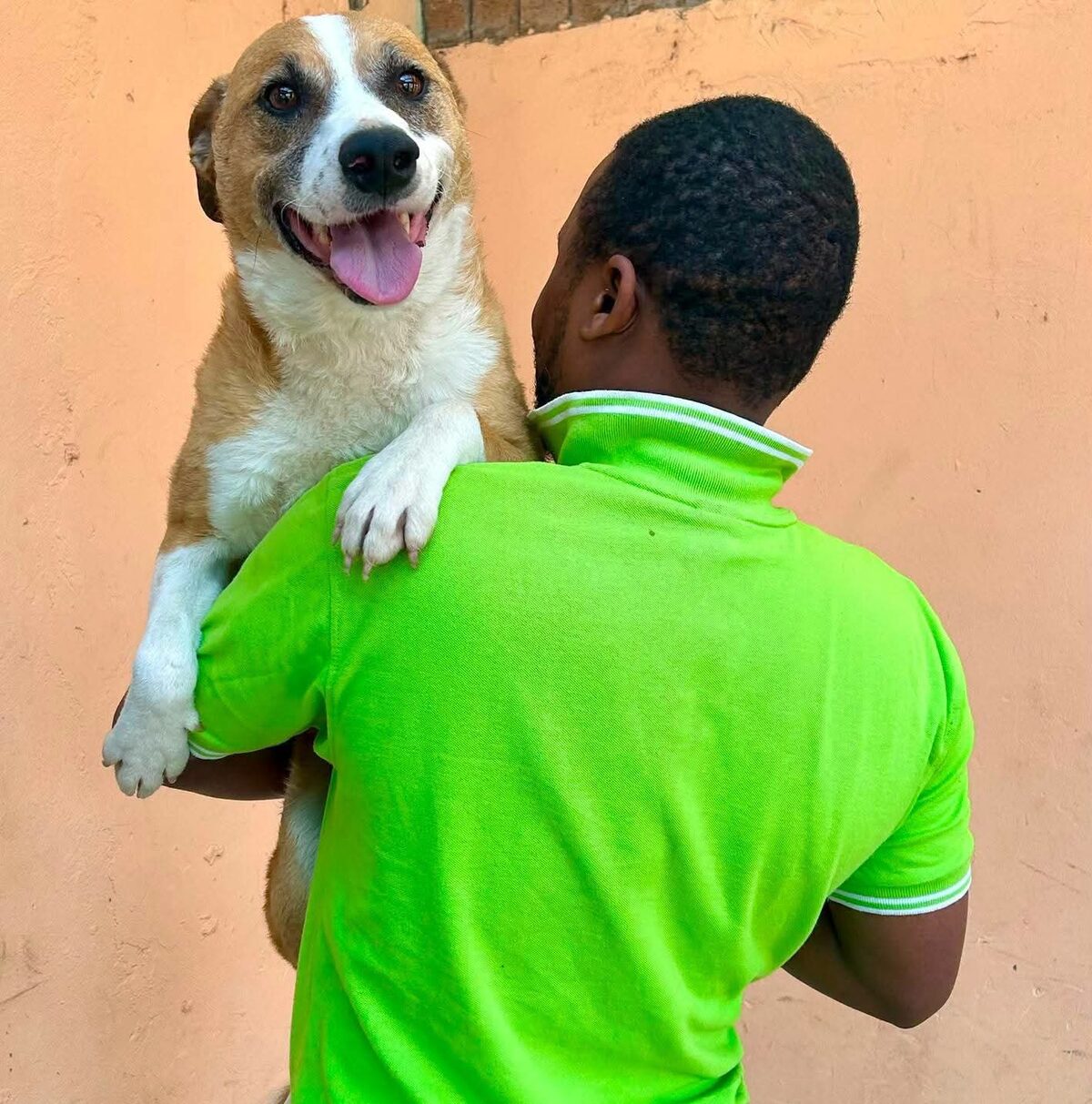 Rex and his owner were reunited.