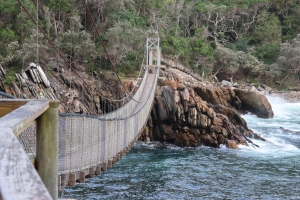 Storms River Suspension Bridge stays open during repairs