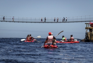 Storms River Suspension Bridge closed for final upgrades