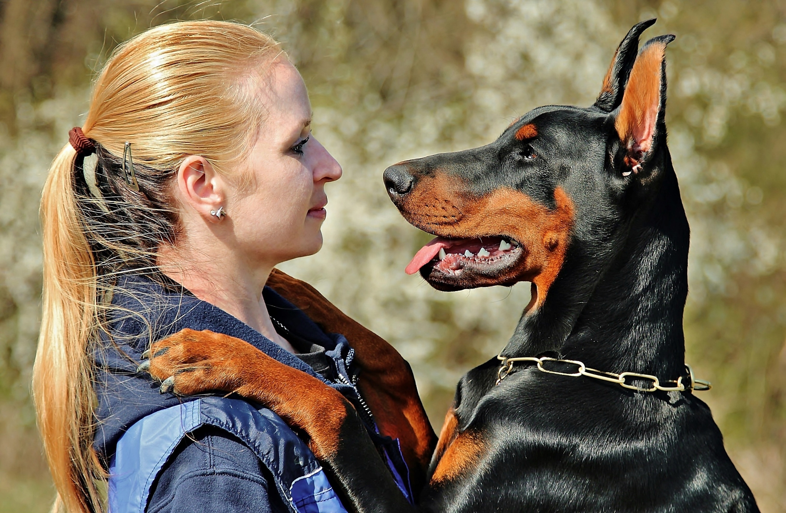 Assisi SPCA Humansdorp volunteers help animals during Mandela Day 67-minute community initiative.
