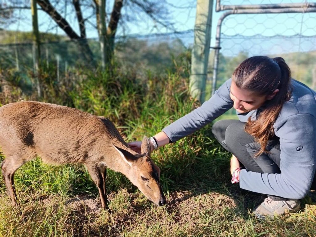 Italian volunteer Caterina Giovinetti caring for rescued animals at African Dawn Bird and Wildlife Sanctuary.