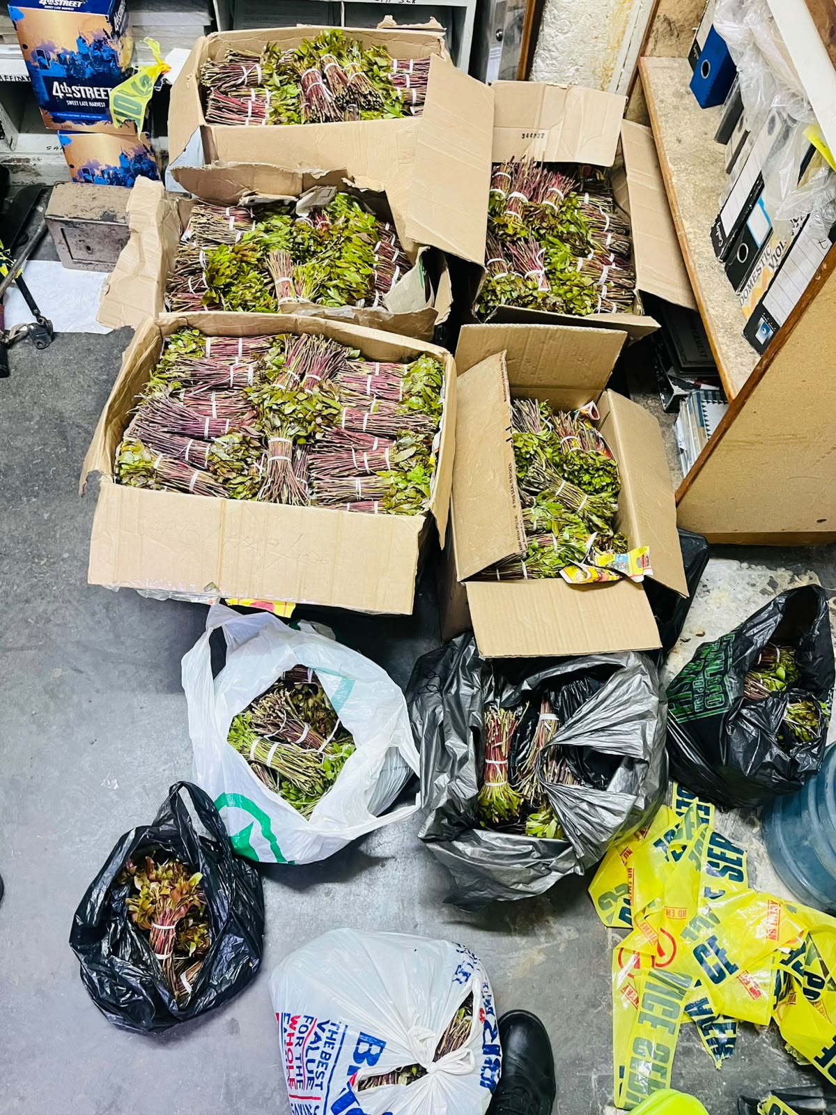 Komani trio arrested with drugs worth over R720,000