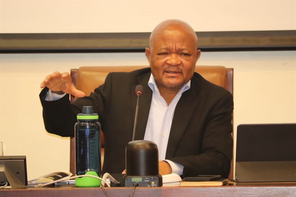 Police Minister Senzo Mchunu talking.