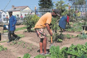 Foundation projects uplift Mthatha communities