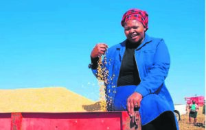 Female farmers bestowed with certificates of excellence