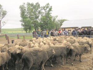 MEC brings hope to small-scale farmers