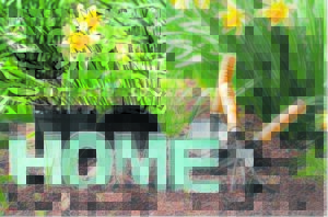 Rejuvenate your home this spring and improve its value