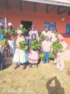 New programme to help youth in farming