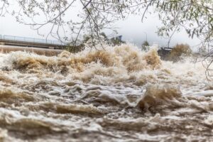 Flood-hit informal businesses welcome government support
