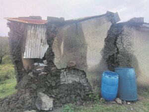 Willowvale family in desperate need of shelter