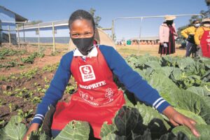 Eastern Cape learners taught joys and benefits of gardening