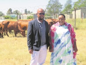 Farmers joyful after receiving bulls, heifers from Ntinga