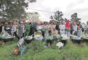 MNQUMA: Farmers receive agricultural inputs, livestock from DRDAR