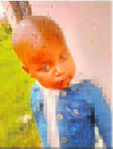 Toddler (2) found dead beside river