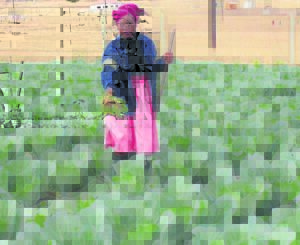 Woman farms to fight poverty