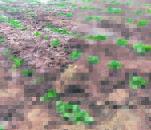 Grant kick-starts farming business