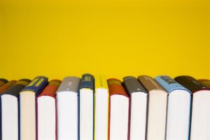 Plans for learners who missed exam