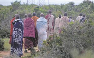 Five bogus traditional surgeons nabbed in Eastern Cape