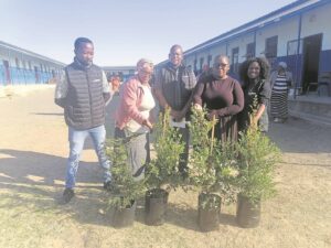 ‘Express’ team plants trees for Mandela Day