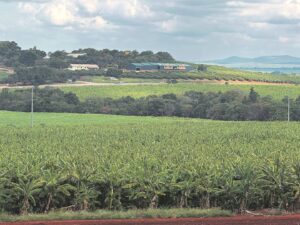Rural Development and Agrarian Reform MEC encourages farmers to fly high