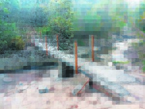 Elliotdale residents build their own bridge