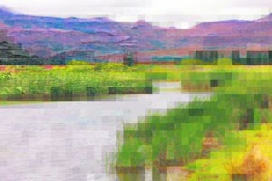 Two children drown in a local dam while playing in the water