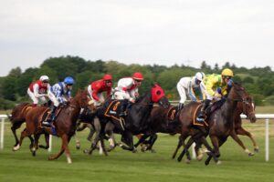 Charity drives, quality races on the March line-up