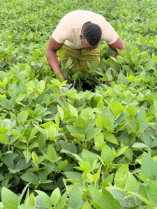 Scheme supports agricultural businesses in Eastern Cape