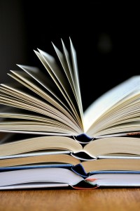 Eastern Cape book fair celebrates language and literacy