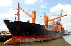 EC High Court strengthens NSPCA powers to monitor live animal export vessels