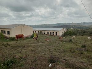 Community calls for reopening of rural school