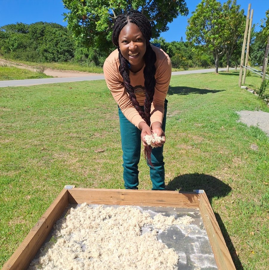 Pineapple leaf pioneer turns waste into hygiene products