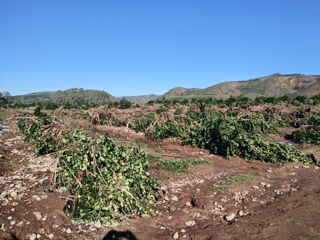 Eastern Cape floods leave Langkloof and Gamtoos Valley farming communities facing widespread damage and major road infrastructure challenges.