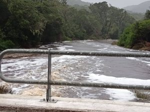 Severe weather causes widespread disruption across the Garden Route