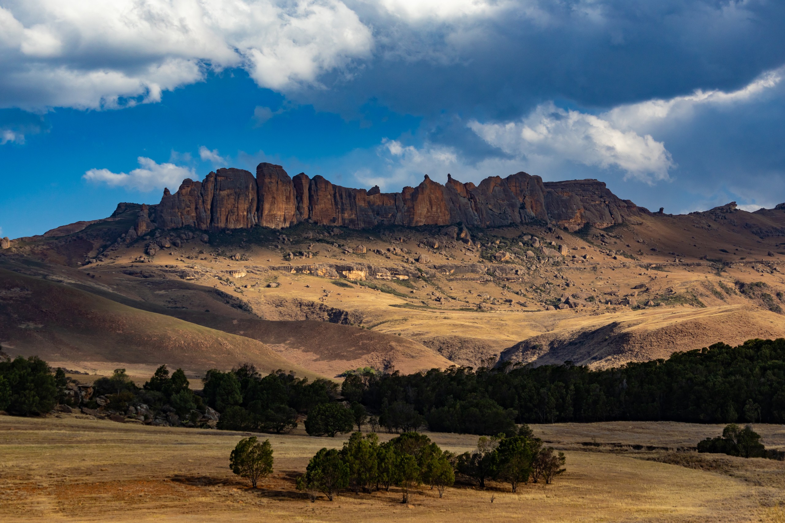 New Grasslands National Park declared in Eastern Cape highlands