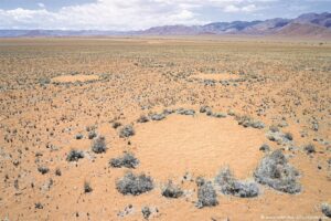 Tuks kry hipotese vir ‘feetjiesirkels’