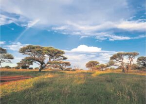Foto-beeld: Lei oog en gedagte na verre horisonne