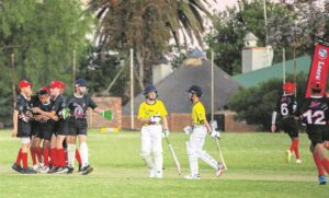 Staats Pro20 Night League now held at Diamond Oval