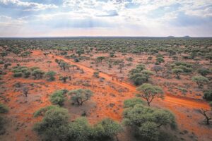 On the road to boost conservation efforts