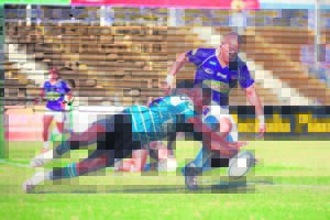 Cheetahs in Griekwa-visier