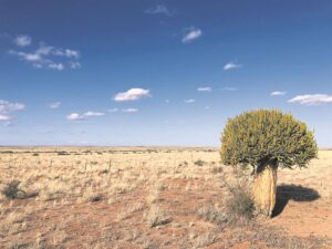 NK se sonlig, wind ideaal vir kragopwekking