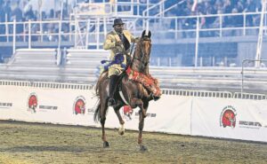 Noord-Kapenaar pronk op spogskou