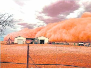 Verstom boervrou en haar bure